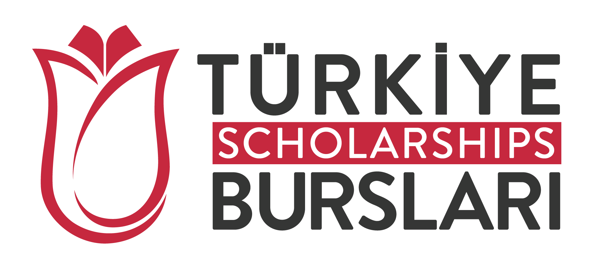 Program stipendija „Türkiye Scholarships“